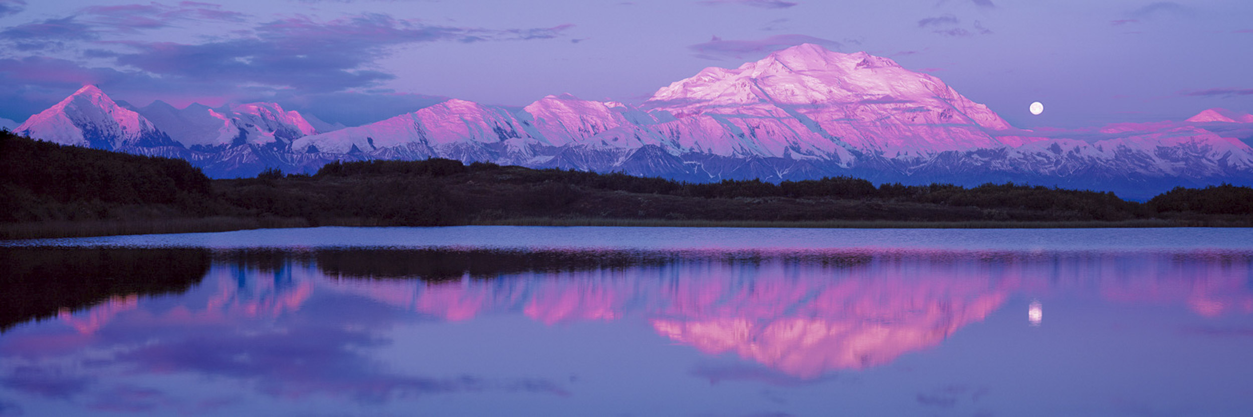 Moonlit Majesty