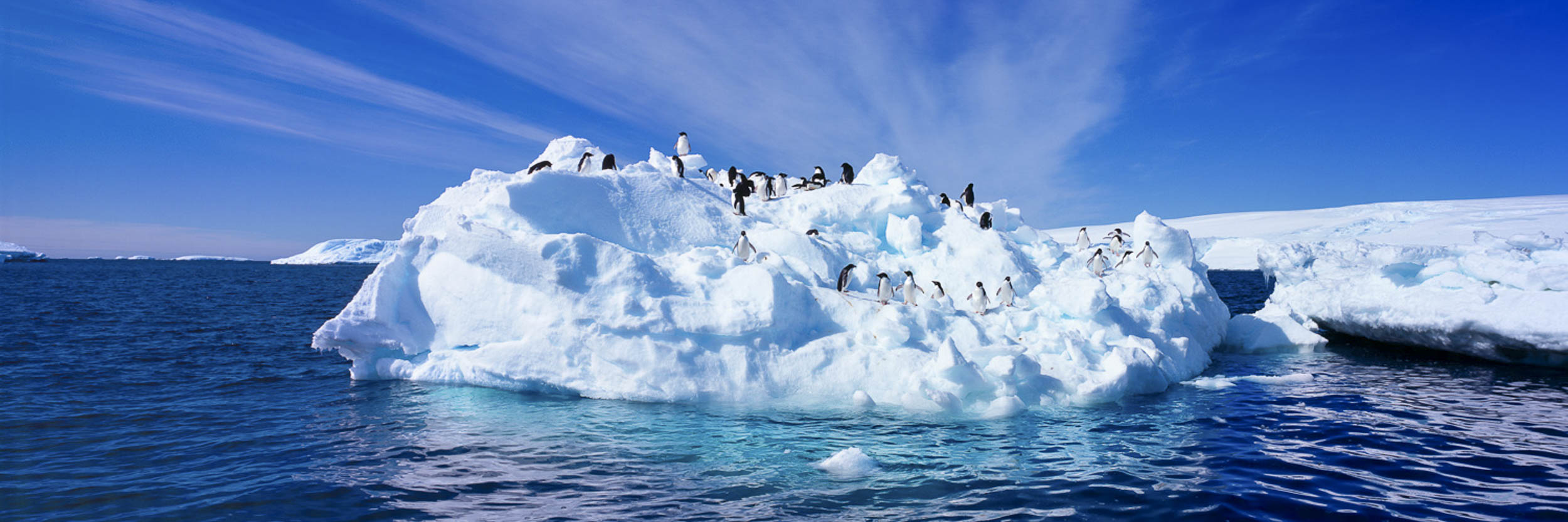 Antarctic Raft
