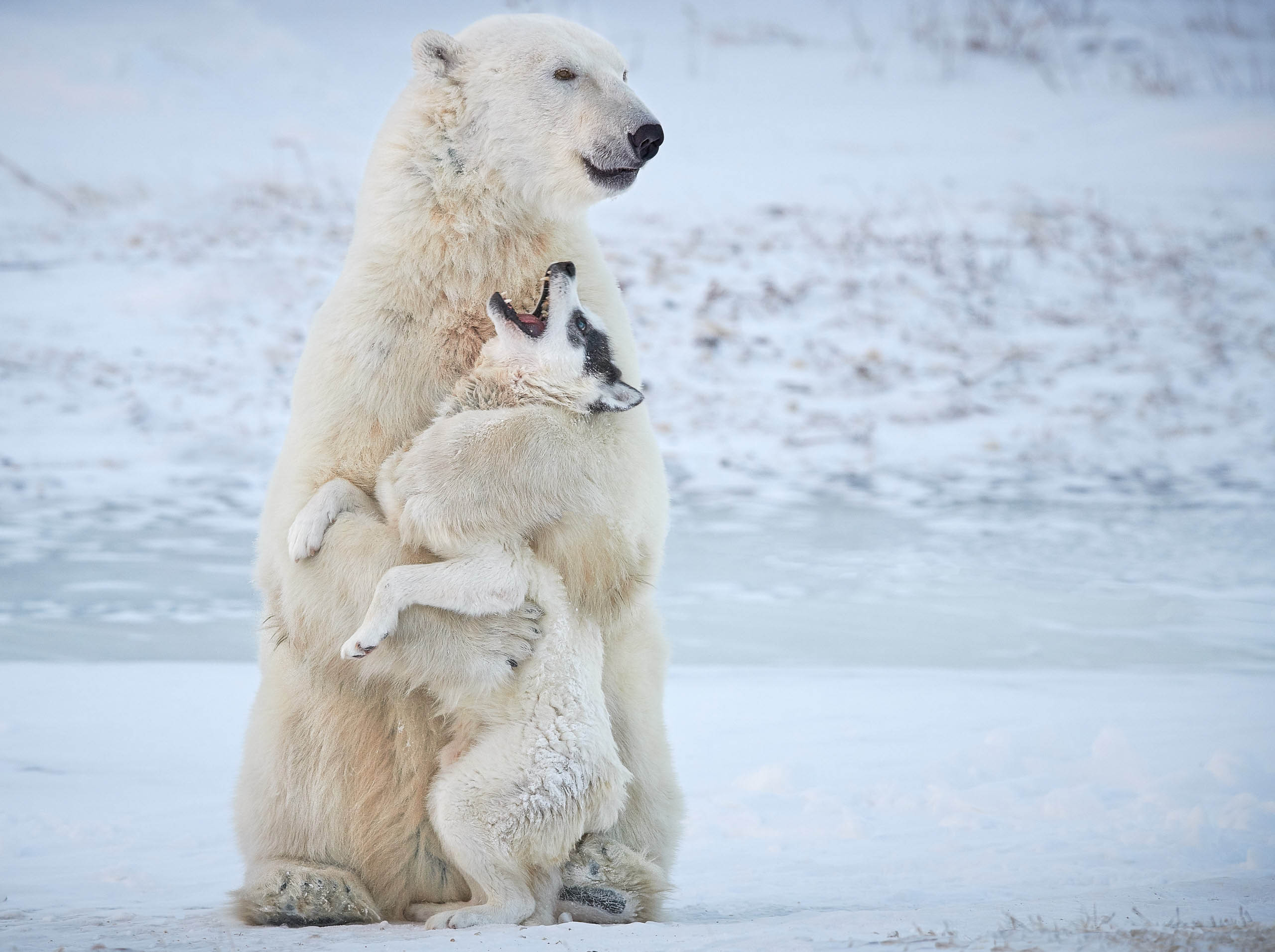 Share the Love