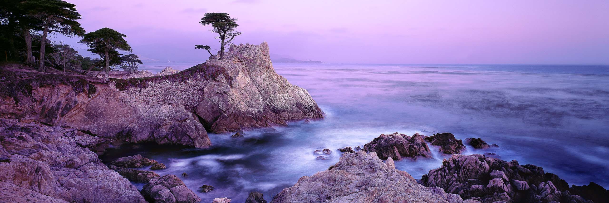 The Lone Cypress, Carmel, USA by Ken Duncan
