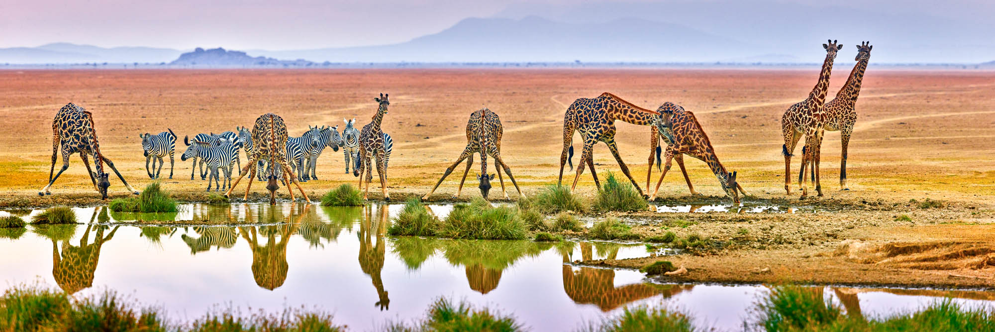 Amboseli Awakening