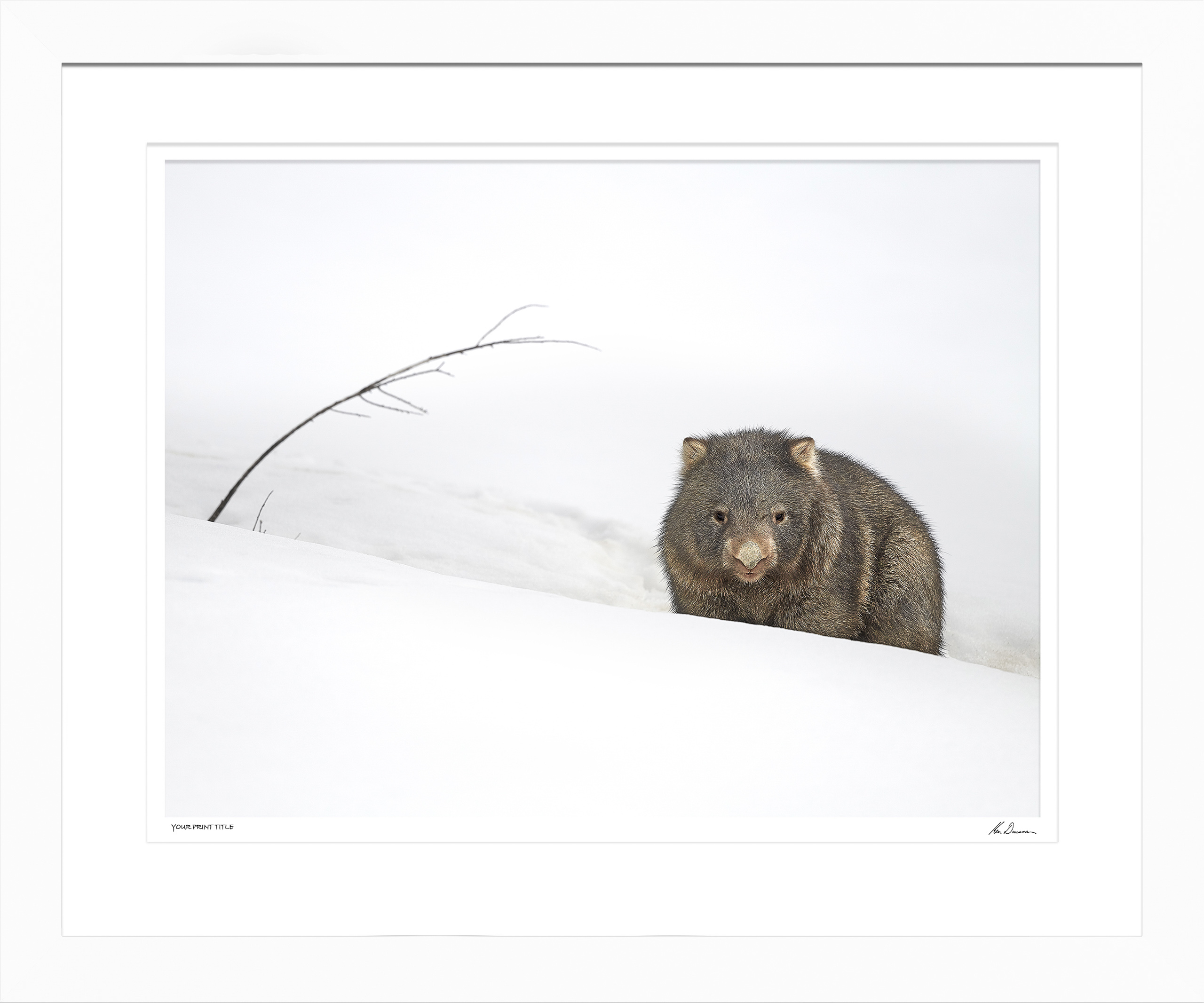 Large Limited Edition Matilda, Snowy Mountains, NSW. Framed Dimensions 1000mm (h) x 1320mm (w). Registration number 32/300