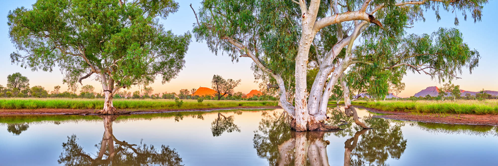 Heavenly Reflections, NT
