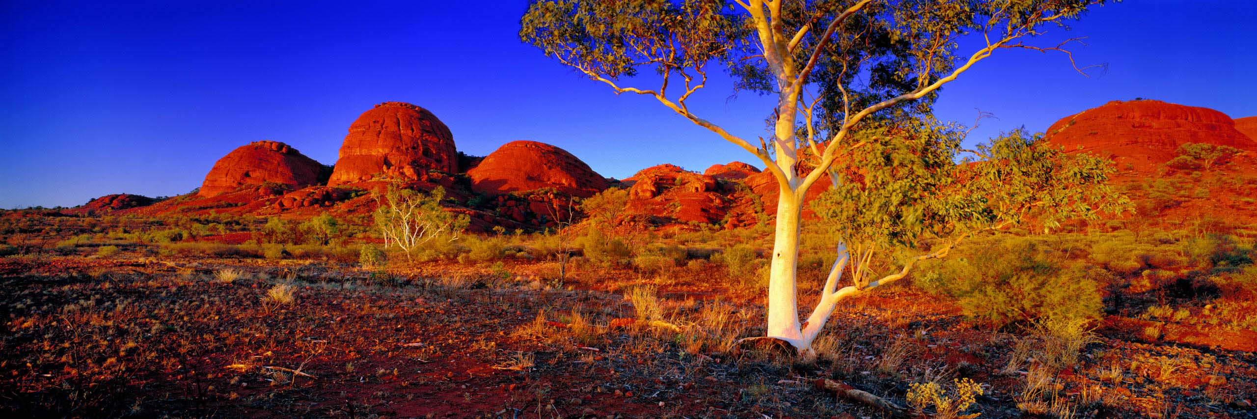 Sunrise Kata Tjuta, NT