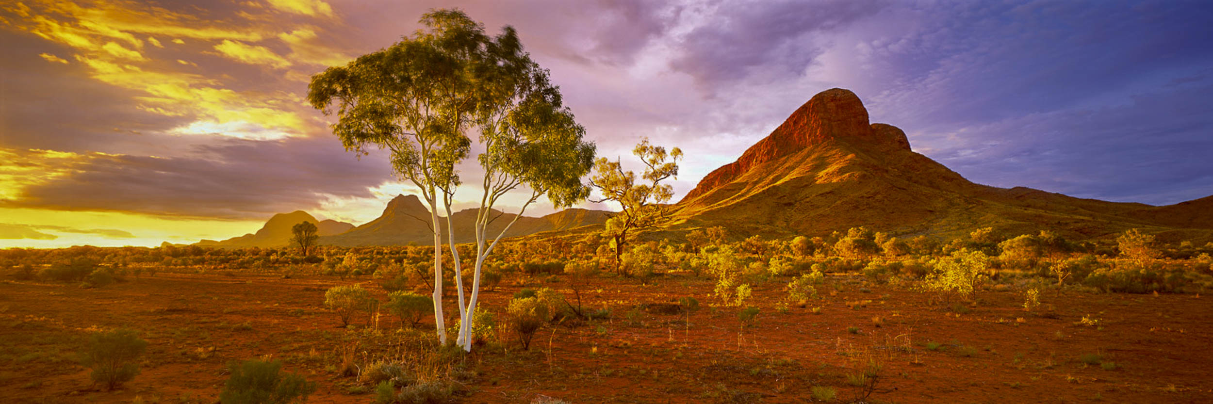 Heartland, Haasts Bluff, NT