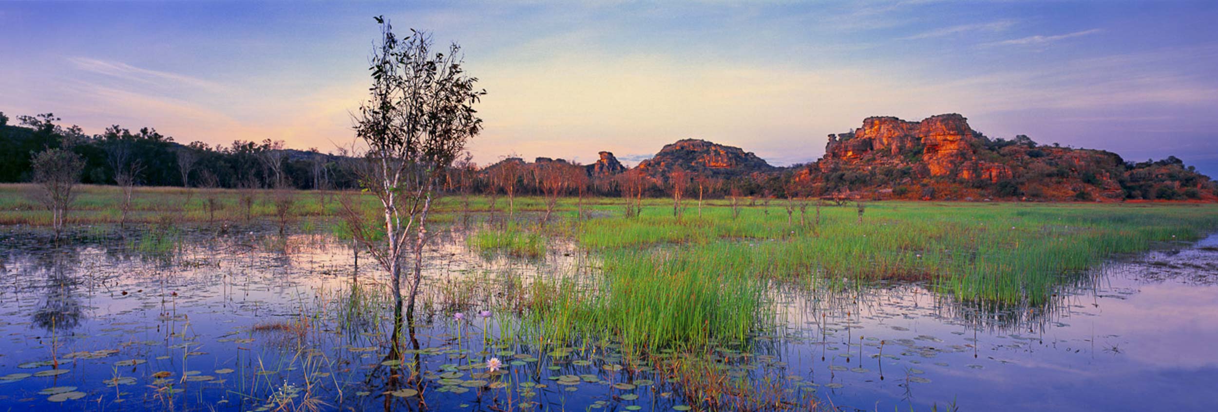 Oenpelli Billabong