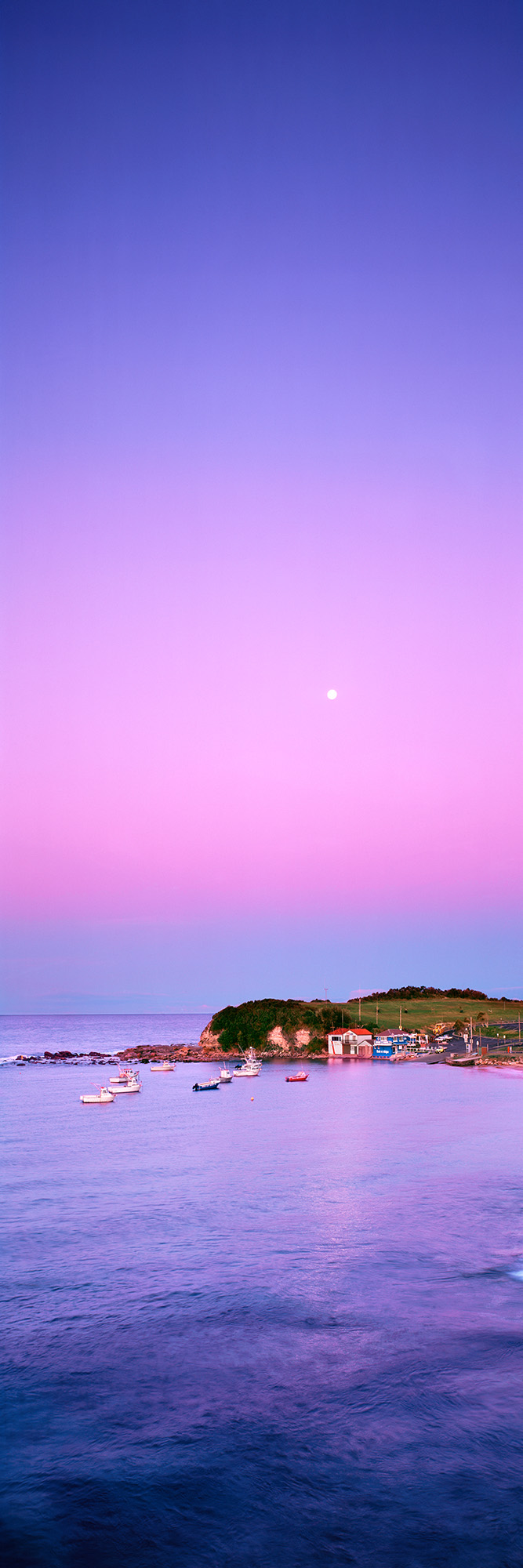 Safe Haven, Terrigal