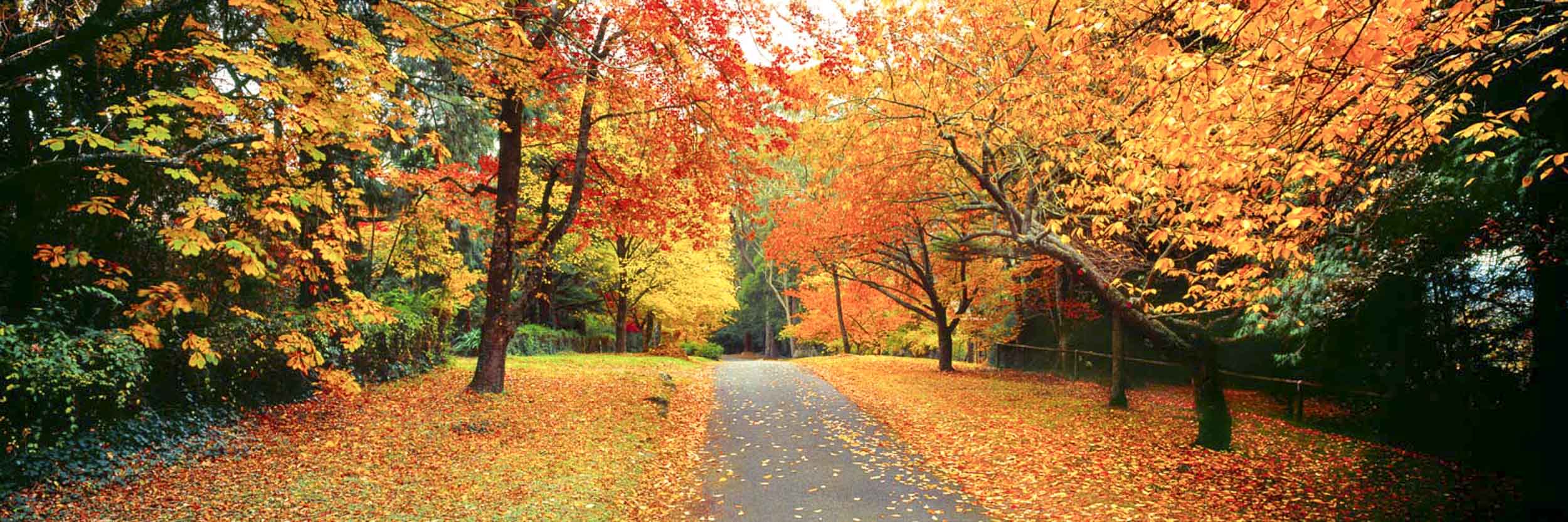 Golden Boulevard