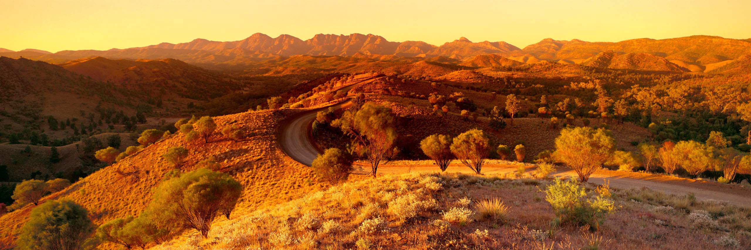 Sunburnt Country, Bunyeroo Valley, SA