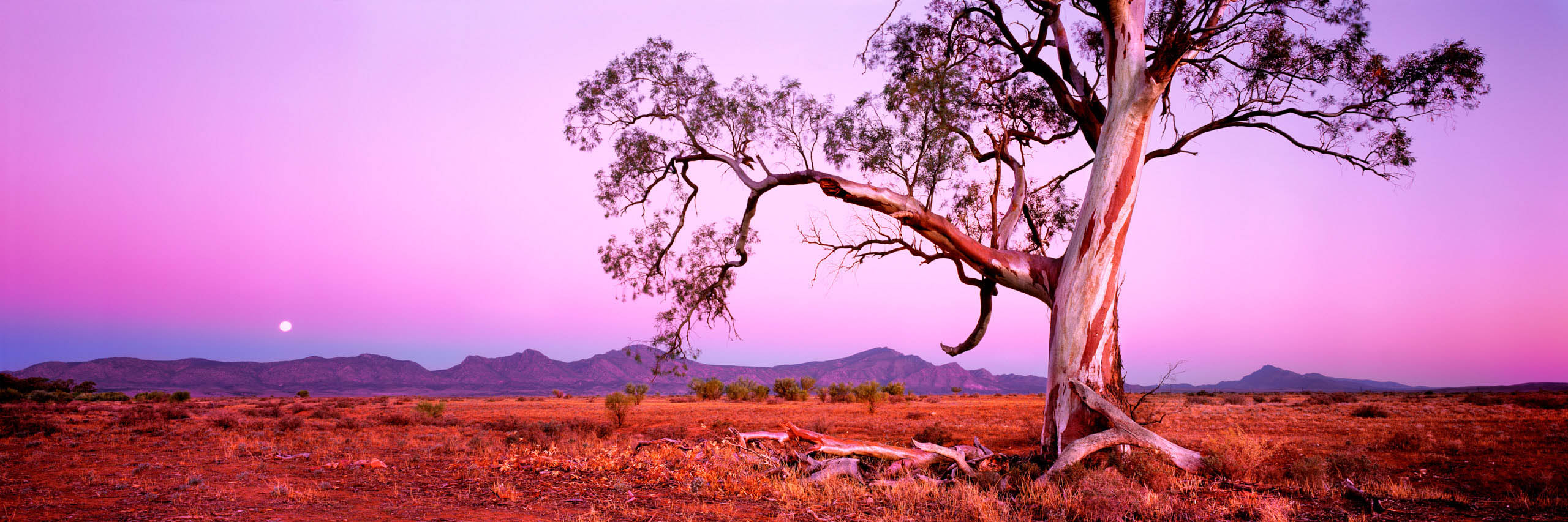Flinders Twilight, SA
