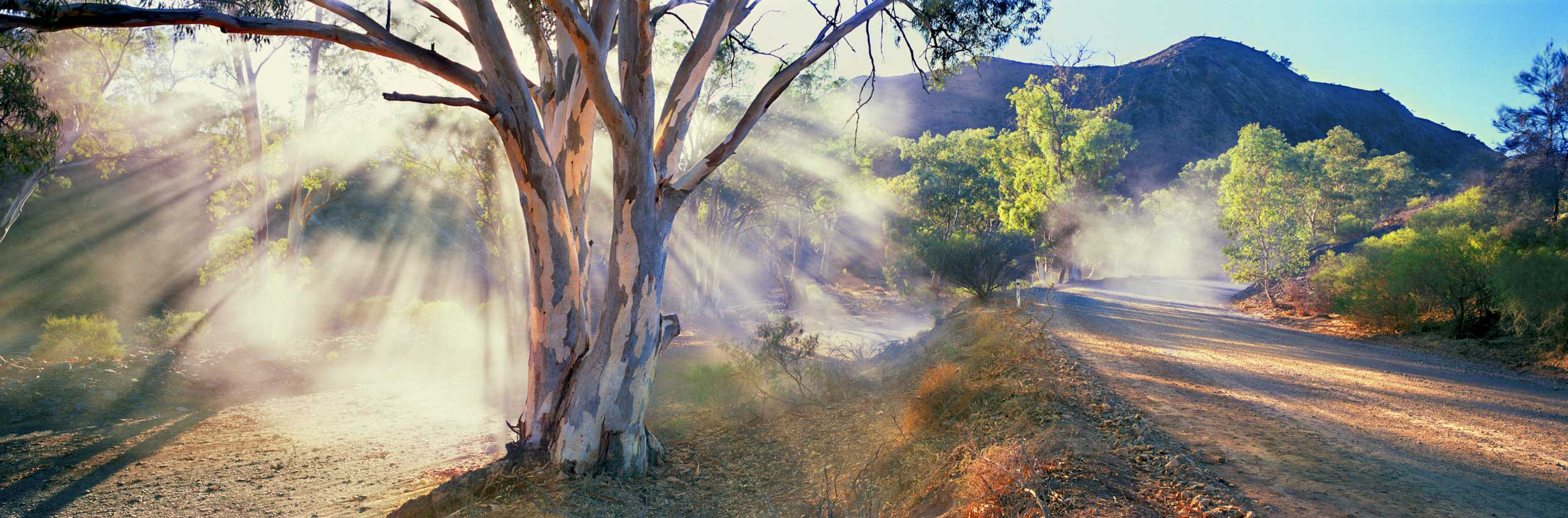 Outback Glory, SA
