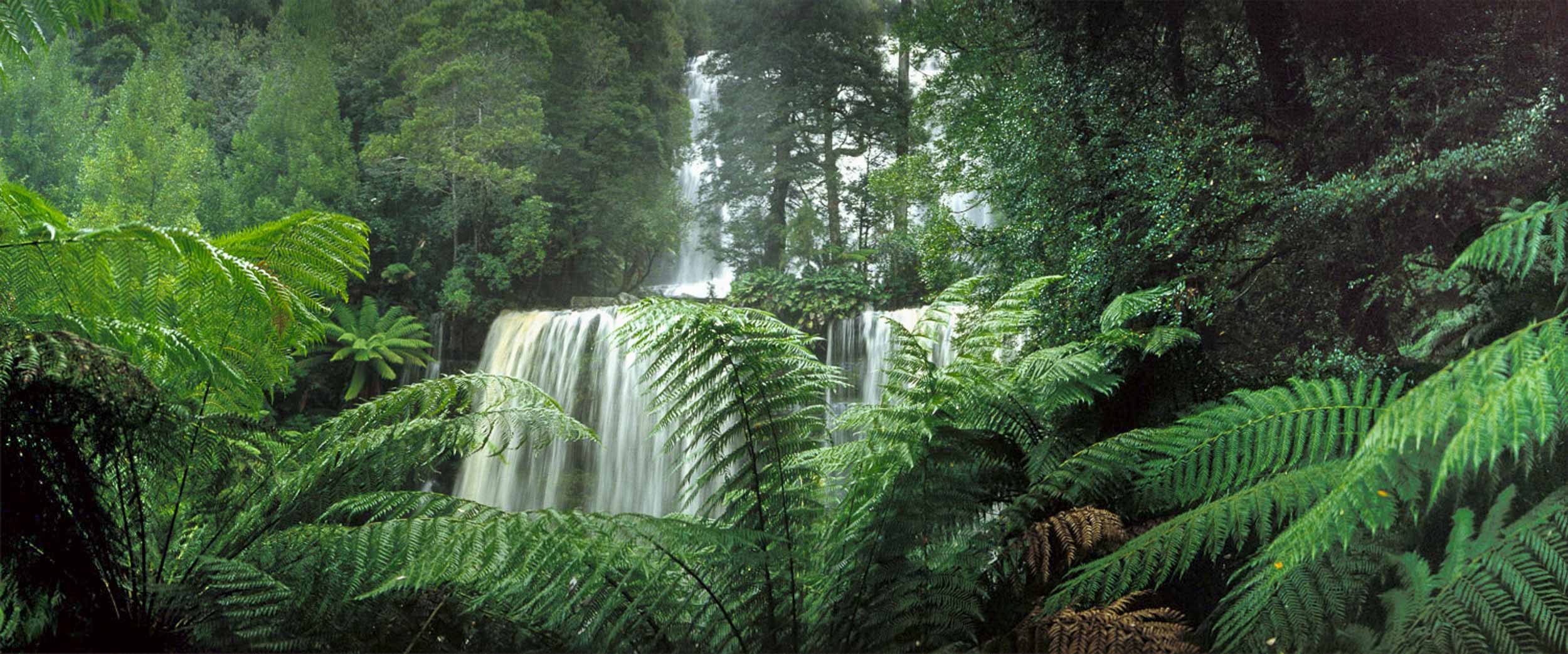 Russell Falls, TAS