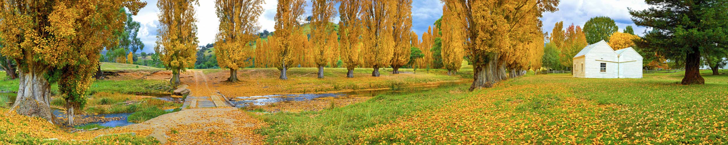 Golden Grove, Omeo, Vic