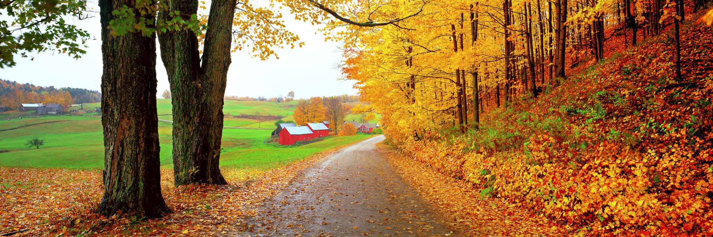 Jenne Farm, Reading, Vermont
