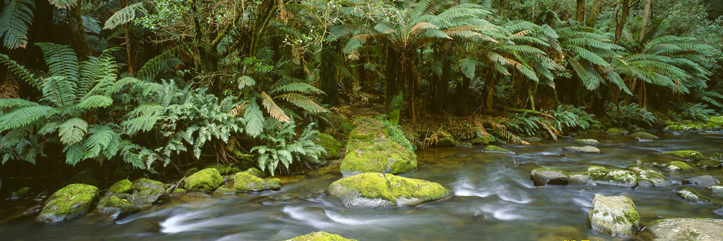 Aire River, VIC