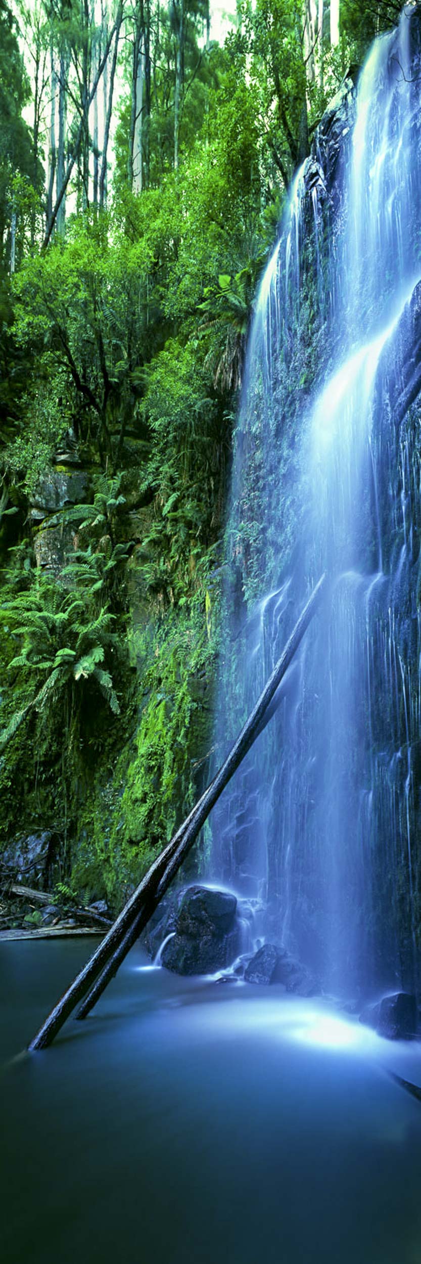Nature's Veil, VIC