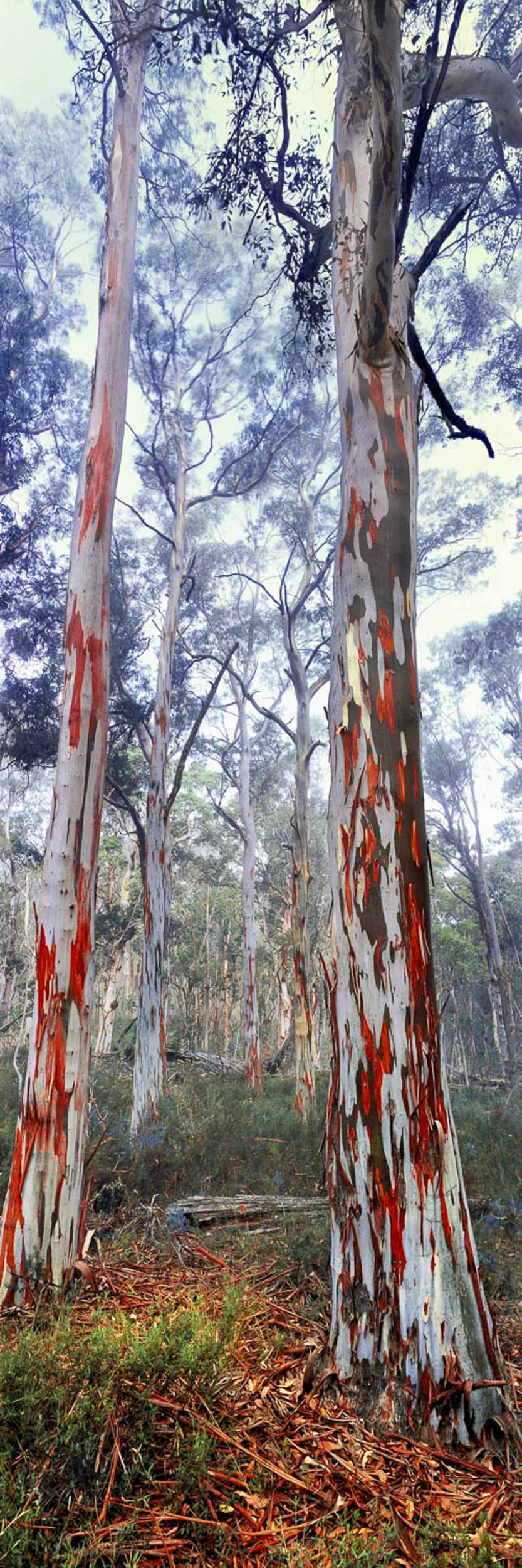 Seasons of Change, VIC