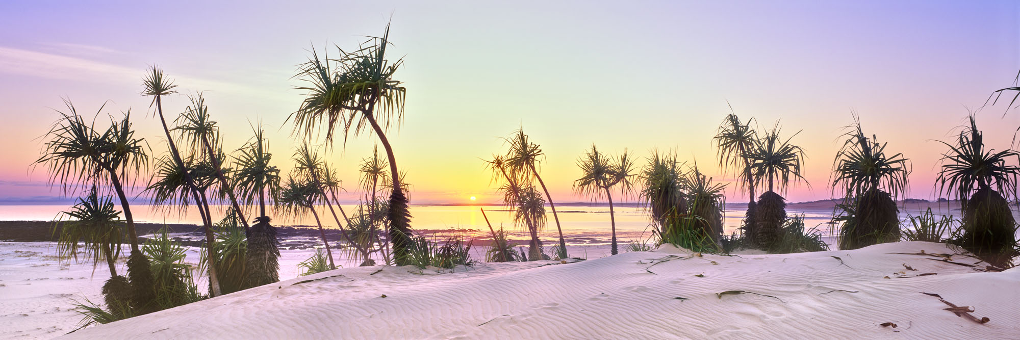 Sunrise Celebration