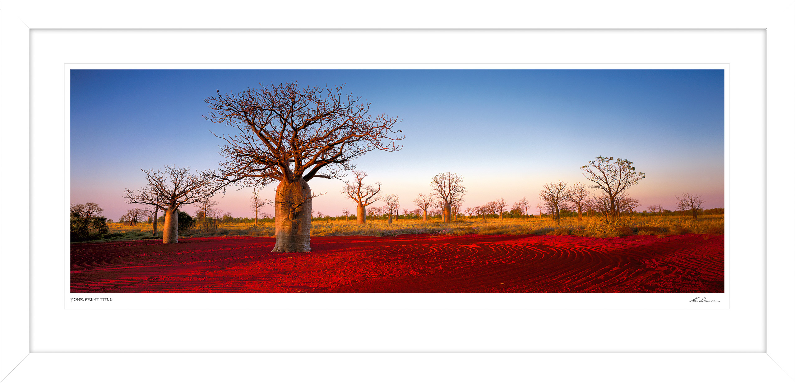 60inch Limited Edition Kimberley Boabs. . Framed Dimensions 813mm (h) x 1814mm (w). Registration number 149/200.