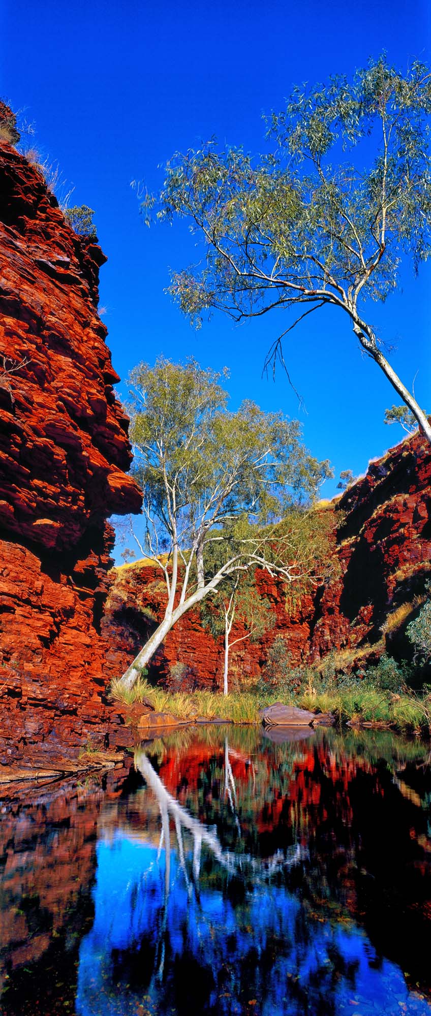 Outback Reflections