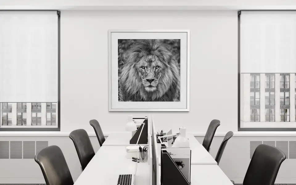 Eye to Eye in Office